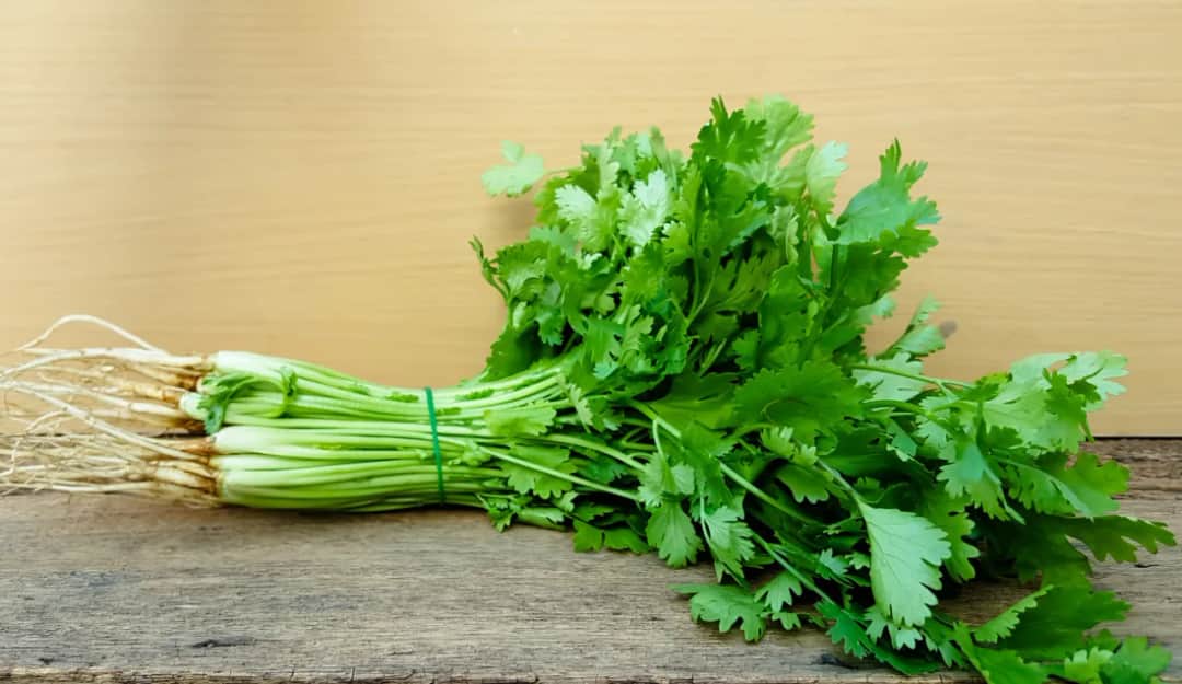 Kolendra w zupach – do jakiej zupy najlepiej ją dodać?