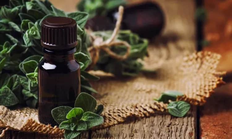 Olej z oregano na co pomaga - odkryj jego niezwykłe właściwości zdrowotne