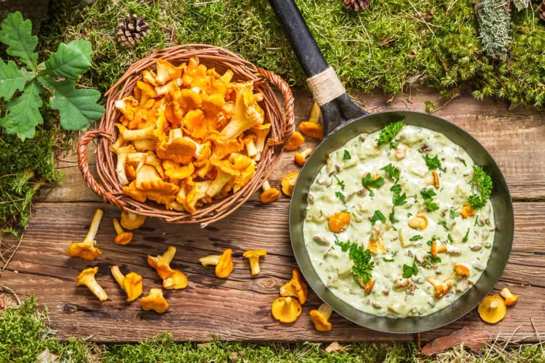 Jak zrobić sos z kurek w śmietanie – prosty przepis na smakowity dodatek