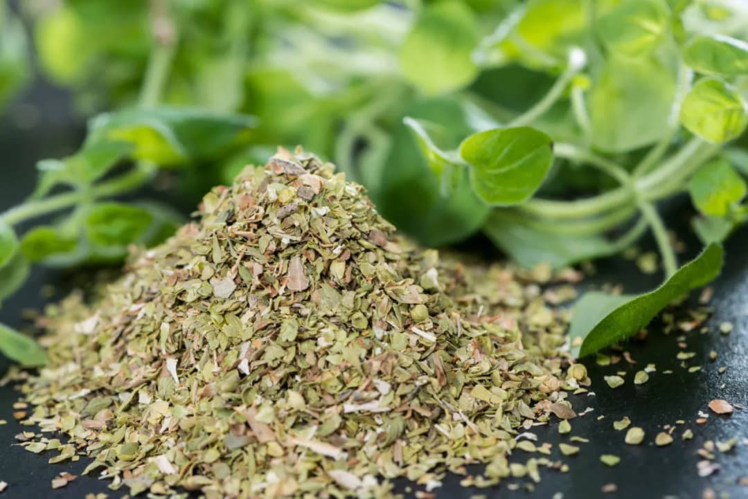Świeże oregano do czego pasuje? Odkryj jego najlepsze zastosowania w kuchni
