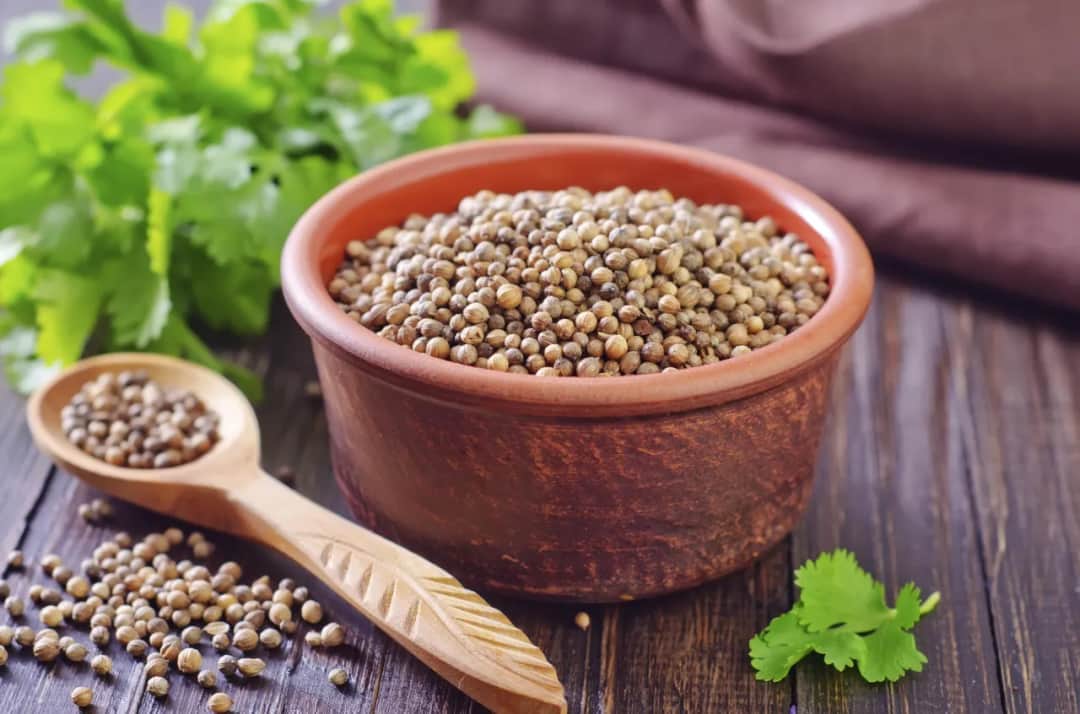 Kolendra na co? Odkryj jej niesamowite właściwości zdrowotne